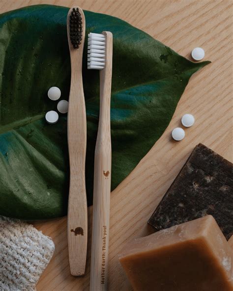 Sticks to Nylon: The Evolution of the Toothbrush
