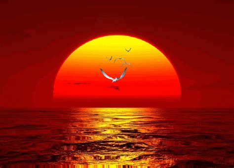 Sunset Click Here http://media.photobucket.com/image/animated%20nature ...