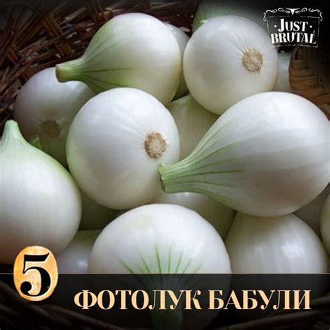 Так его представляет наша бабушка ;) | Синий лук, Места, Столовая