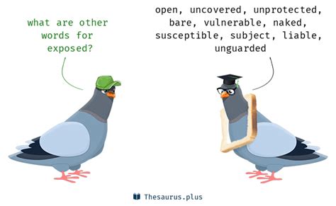 Words Exposed and Unobstructed are semantically related or have similar ...