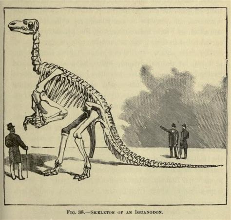 nemfrog - Fig. 38, Skeleton of an iguanodon. Mythical...