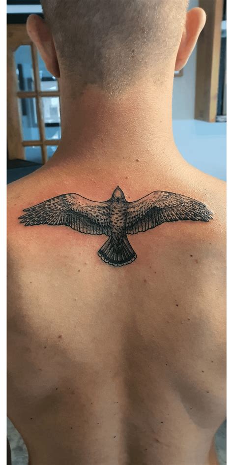 falcon stomach tattoo