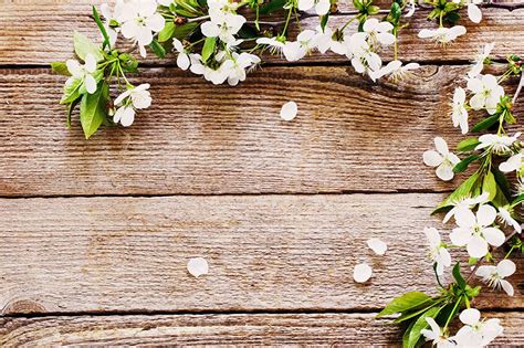 Pictures Of Wood Background With Flowers at Kenton Williams blog