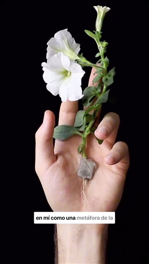 Upper Playground | San Francisco CA