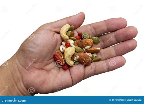 Whole grains in hand stock photo. Image of grain, nutrition - 197248708