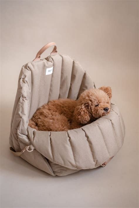 Pin de CUPERNICUS NORWAY em Moda para perros | Acessórios para cães ...