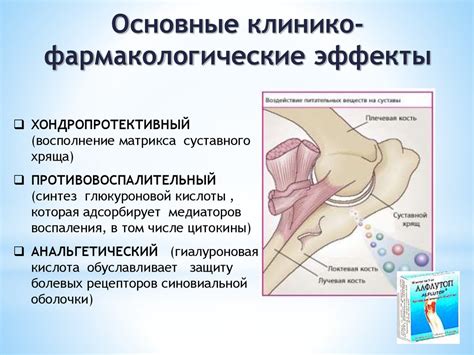 Хондропротекторы - презентация онлайн