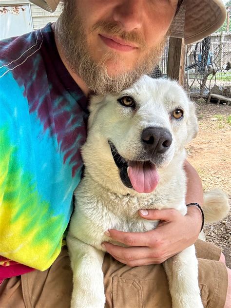 Dogs - PetSavers of Shreveport, LA