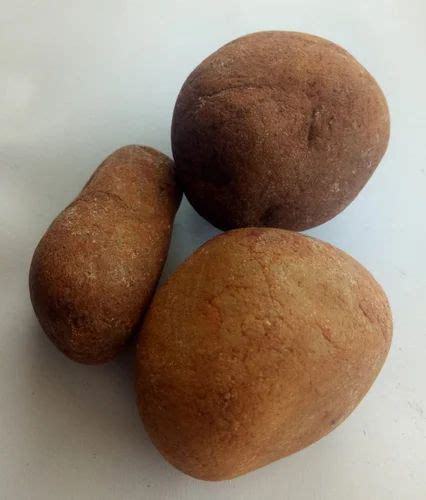 Water Filtration Pebbles at ₹ 4.0/kg | Konganapuram | ID: 2850458271562