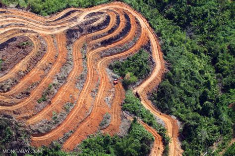 Conservation news on Habitat Loss