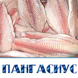Пангасиус Цена За 1 Кг В Магазине — Каталог интернет магазинов