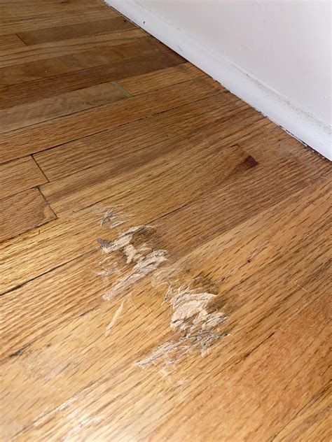 Hard wood floor damage and shrinkage : r/Flooring
