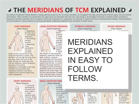 Printable 12 Meridians Chart - prntbl.concejomunicipaldechinu.gov.co