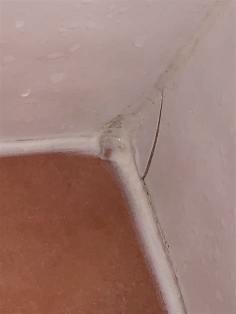 Ensuite shower leak detection in Oxley • Leak Detection