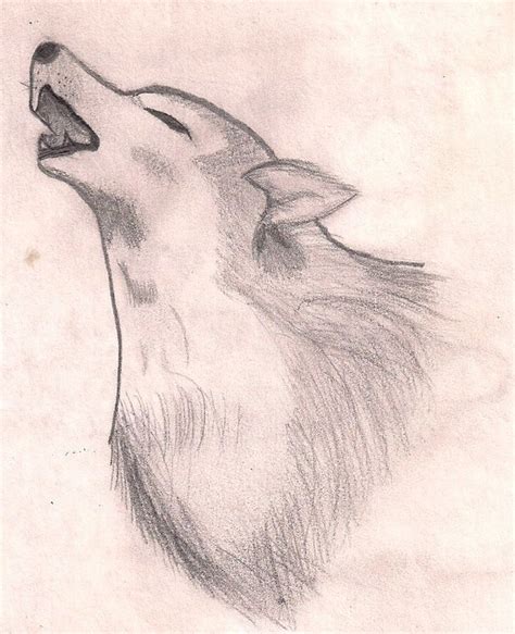 Wolf Howling Sketch at PaintingValley.com | Explore collection of Wolf ...