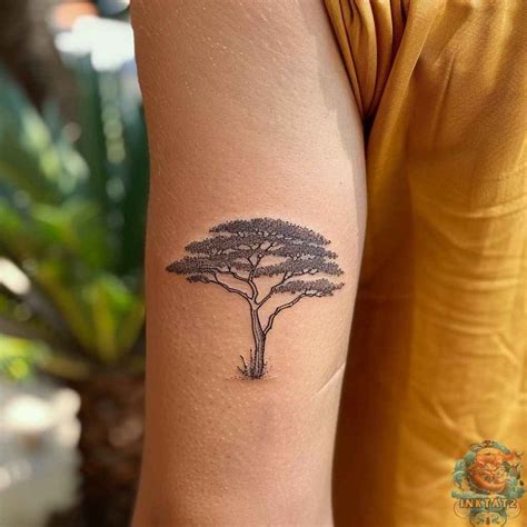 acacia tree tattoo bronctattooauscom