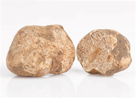 precious white truffle agritaste white truffle