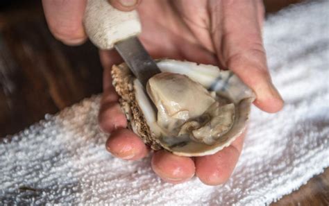 A Man Dies After Eating Raw Oysters — What You Should Know