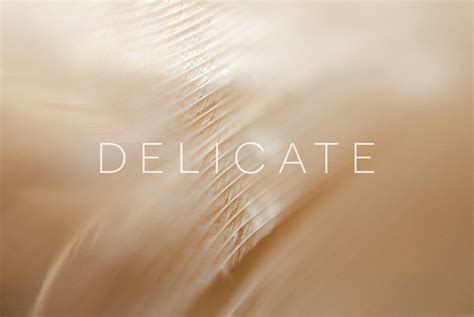 Delicate - Design Cuts