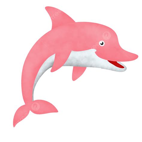 Pink Dolphin Cartoon, Cartoon Clipart, Dolphin Clipart, Pink Dolphin ...