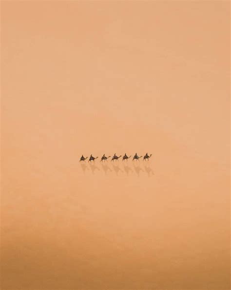 Geico – Live & Learn