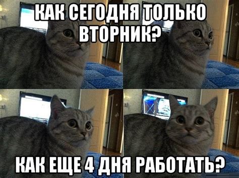 Прикольные картинки про Вторник