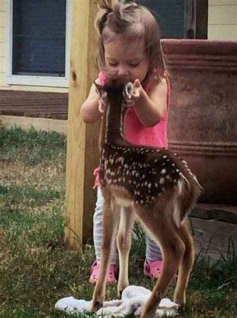 Top 10 Pictures Of Babies Kissing Animals