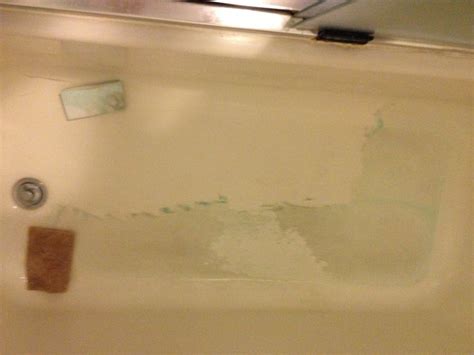 Equal parts vinegar & dawn dish soap in a spray bottle. Spray on ...