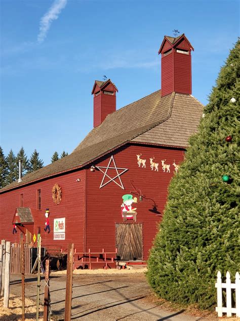 Red Barn Tree Farm in Puyallup, Washington