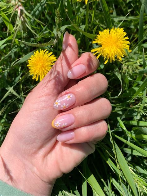 Ромашковое поле 🌼