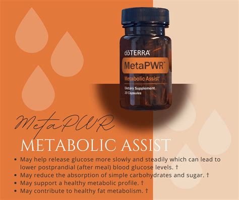 MetaPWR - Essentially Energized