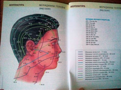 Книга: Акупрессура. Иллюстрированный атлас - . Купить книгу, читать ...