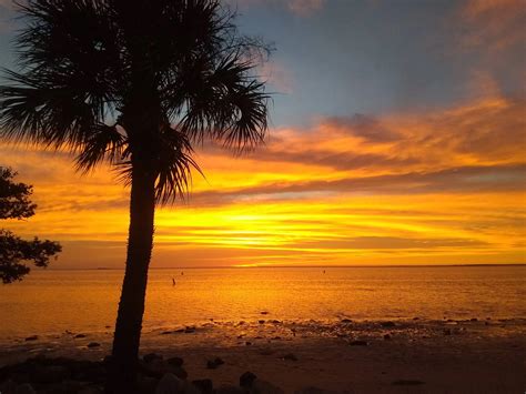 My mom caught this picture of the sunset in Florida | Scrolller