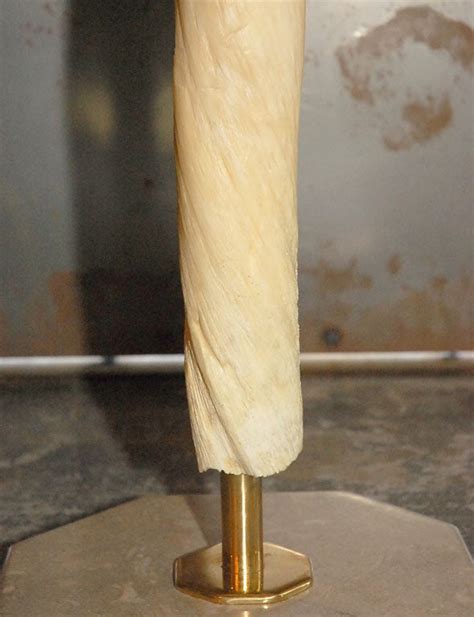 Narwhal Tusk at 1stDibs