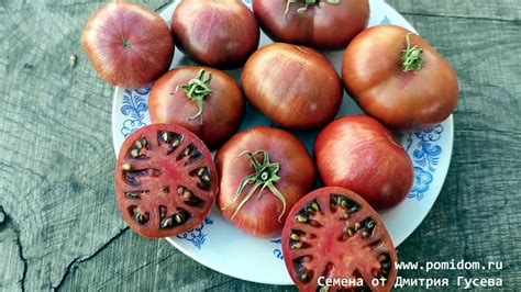🍅Помидоры Чёрный Карликовый Тигр Чероки, Cherokee Tiger Black Dwarf ...