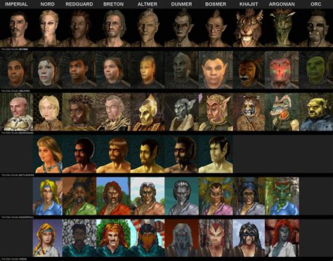 The Evolution of all races in The Elder Scrolls series. : r/gaming