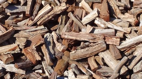 Nicholas Firewood