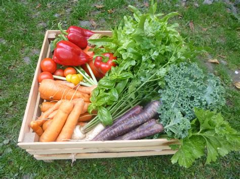 Community Supported Agriculture in the Czech Republic | Agricultural ...