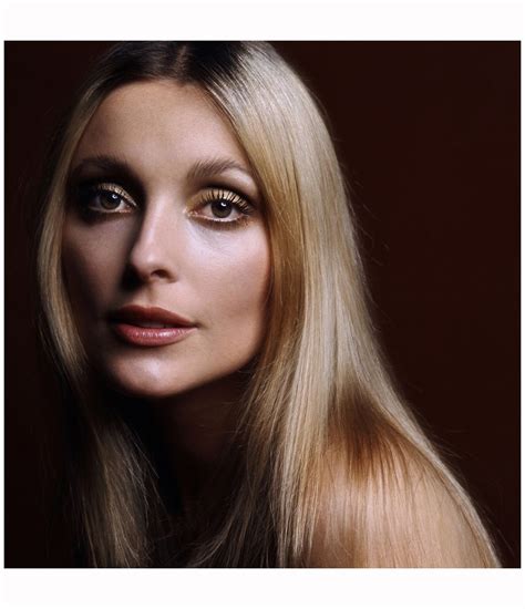 Sharon Johansen Tumblr