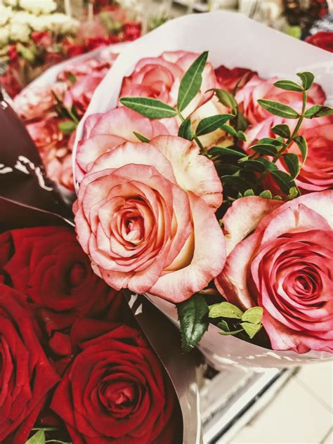 background  roses bouquet  stock photo public domain pictures
