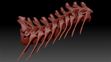 ArtStation - Giganotosaurus Neck Set Skeletons | Game Assets