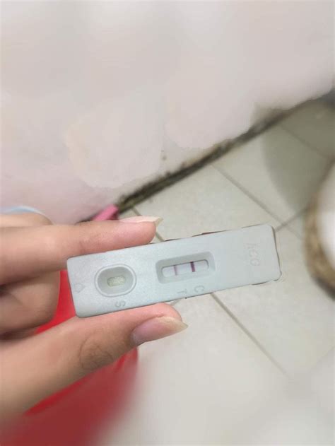 Fake pregnancy test | Pregnancy kit, Fake pregnancy, Pregnancy test