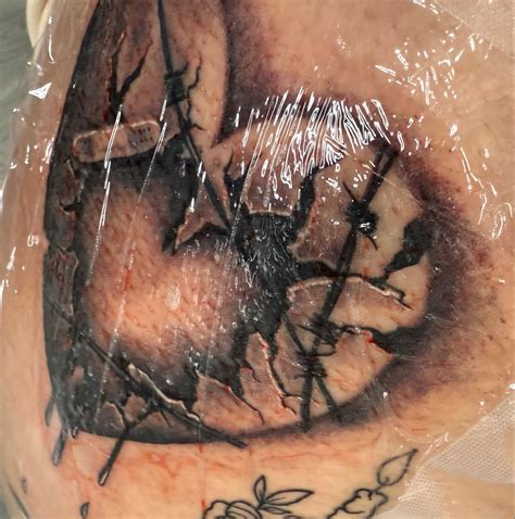 Floyd, Paulding & Polk County Death Row Pets - 20999045 American