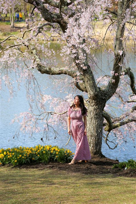 Photo Ops Galore: Virginia’s Best Flower Locations - Ann-Tran