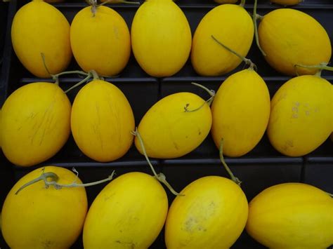 Premium Photo | Fruit contains vitamins minerals fiber and phytochemicals