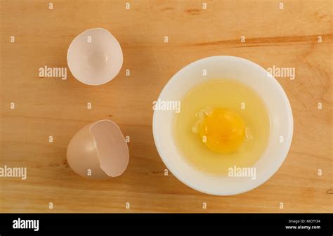 close    open fresh egg stock photo alamy