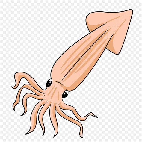 Кальмар гигантский раскраска (много фото) - drawpics.ru