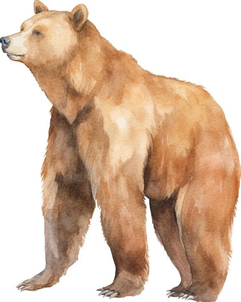 Premium Photo | Brown bear watercolor