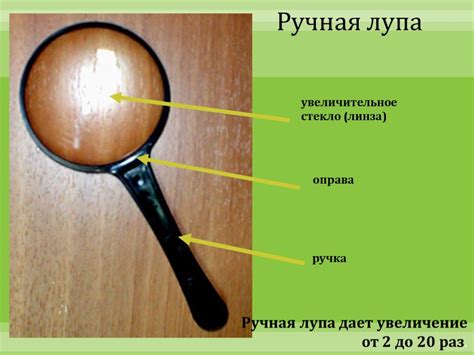 Презентация "Увеличительные приборы: микроскоп и лупа" (6 класс) по ...
