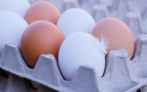 Как проверить свежесть яиц быстрыми способами | РБК Украина